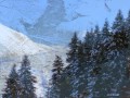 Vasilisa - Goranine Ćafanine 