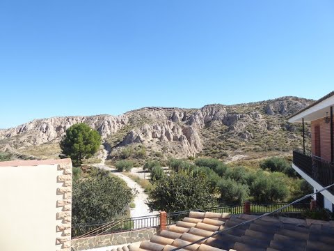 video image