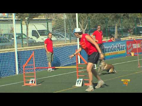 18/09/11 – II Concurso Provincial Canino de La Nucía.