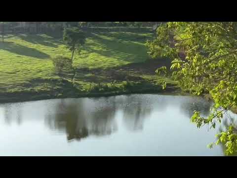 FAZENDA ALTO PADRÃO (LUXO) prox. Goiânia 