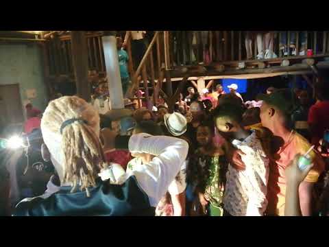 Max Ellipsis at Jungle Monkey Backpackers