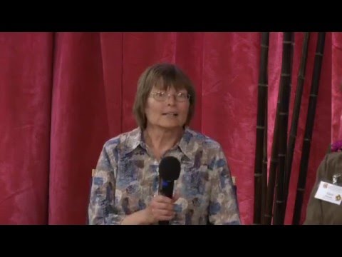 5 /7 Adamus - Shoud 7, It Comes to You, April 2013