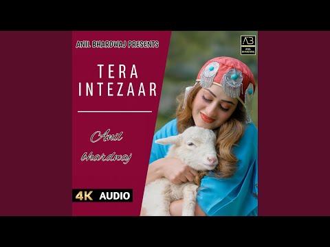 Tera Intezaar