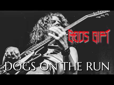 Dogs On The Run - God’s Gift (Official Release)