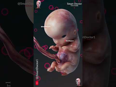 Smart Doctor 👨‍⚕️ and Smart Doctor Alt