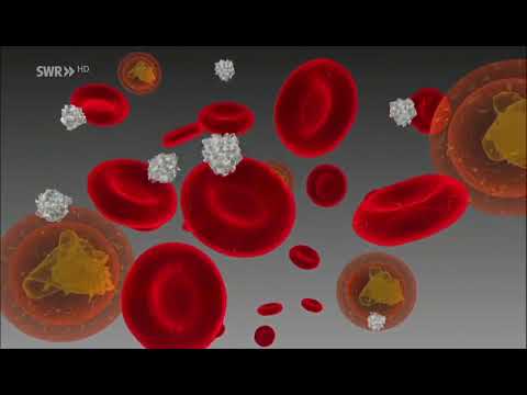 Die dunkelsten Epidemien in der Geschichte DOKU!