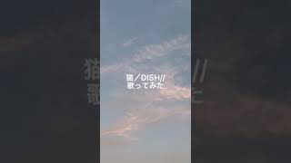 猫　弾き語り　カバー