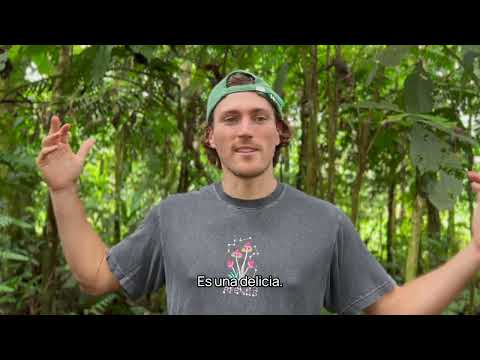 Video testimonial