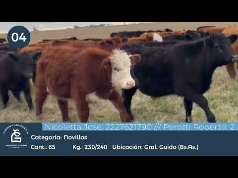 Lote Nll inv - Gral Guido Bs As