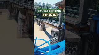 Download lagu #shorts #irigasi YEH HOO DI DAM GADUNGAN TABANAN BALI mp3