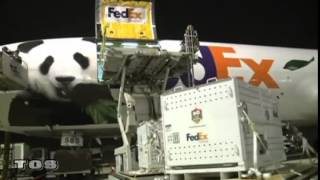 EL Saturn #261 Untitled  | TØS