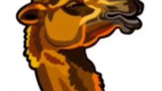(Camel Groan 🐪 🔊)