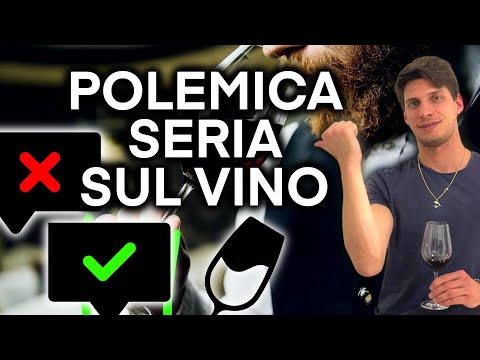 POLEMICA SERIA sul VINO ⚠️🍷🥂