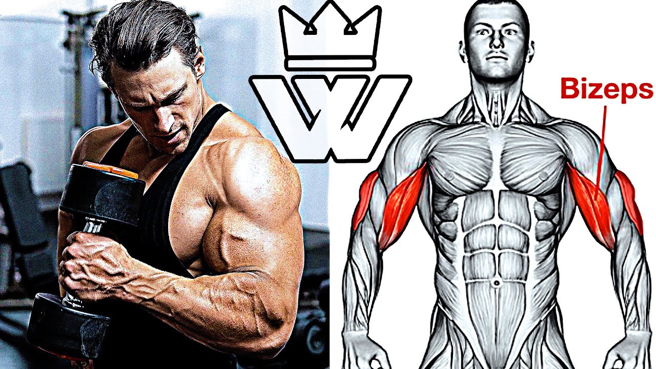 MASSIVE ARM WORKOUT TOP-10 Exercises