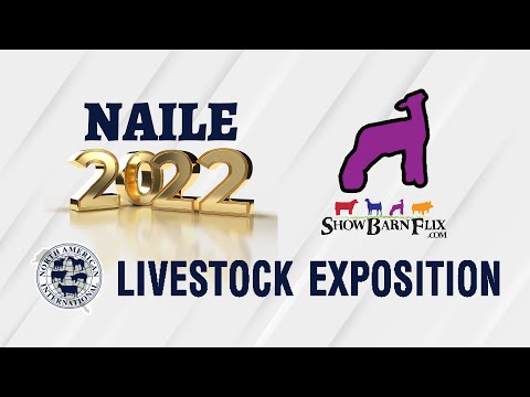 , title : 'Open Breeding Sheep Show - Monday Ring 2 - NAILE 2022!'