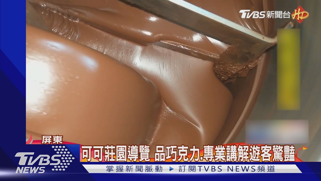 巧克力之鄉!屏東可可莊園密度高 屢屢得獎