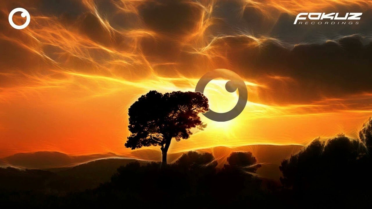 Retrospekt - Hummingbird