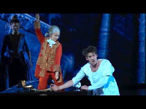 Wie wird man seinen Schatten los - Thomas Hohler - von Musical Mozart!