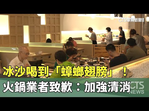冰沙喝到「蟑螂翅膀」！　火鍋業者致歉：加強清消