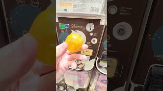 ドラゴンボールのめじるしアクセサリーガシャポン出会えた #めじるしアクセサリー #ドラゴンボール