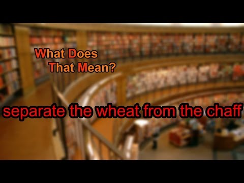 What does separate the wheat from the chaff mean?