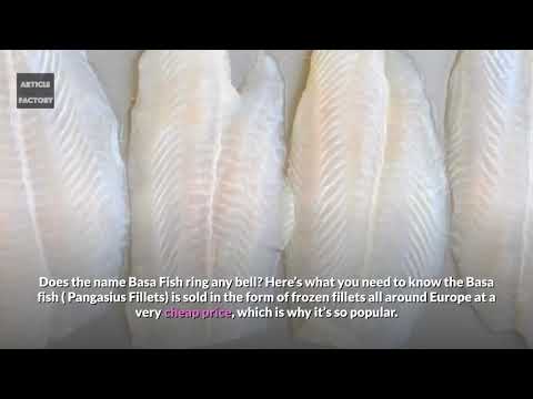 DANGEROUS FISH named "BASA FISH"