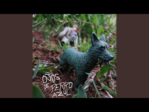 Mariana - Ojos de Perro azul