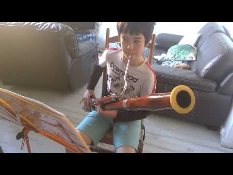 Alex山大 Practice|Pink Panther - Henry Mancini 巴松管Bassoon练习记录