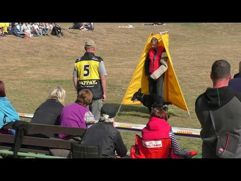 MM MSKS Zbraslav 2016 - Barát Jiří - Hexa Jivě - Toka - obrana/defense