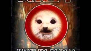 Riot - Smoke On The Water