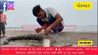 પોરબંદર ના કર્લી જળાશય માં થી. જાળ માં ફસાયેલ  8 ફૂટ નો અજગરનો મૃતદેહ  મ…