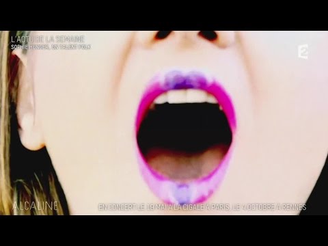 Alcaline, le Mag : Les news avec Francis Cabrel, Sophie Hunger, La Rumeur...