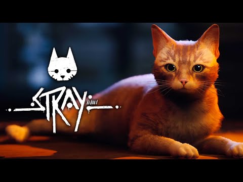 Phantassm Plays | Stray (Part 1) FULL 4K