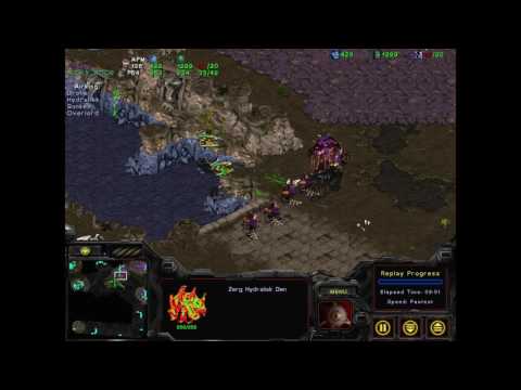 Starcraft Brood War - Vidrep 73 - Evolutionary Dead-End