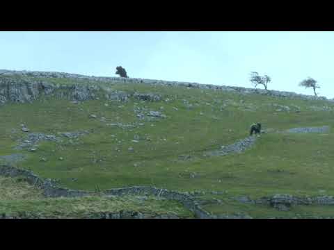 Misty Bywater -  An Improvisation