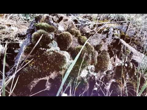 Khiast - Dying Touch Of The Age