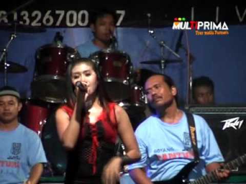 Potert Tua Nurma PANTURA 160608