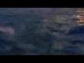 Spongebob Squarepants Movie Trailer 2
