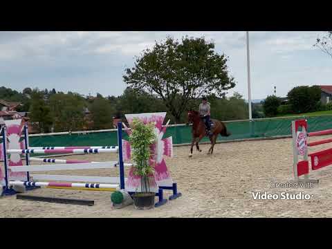 L’Amour (5yo gelding by For Pleasure x Ukato) September 2021