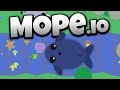 Mope.io - The Deadly Blue Whale! - Cutest Ocean Fish in Mope.io! - Let's Play Mope.io Gameplay
