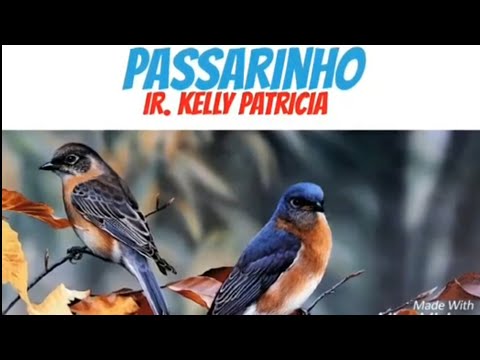 Passarinho - Eduardo Neres