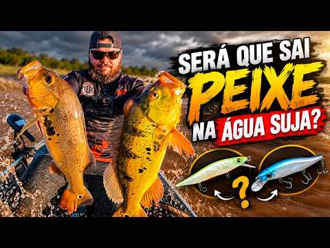 SERÁ QUE SAI PEIXE NA ÁGUA SUJA? Pescaria de Tucunaré!