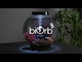Biorb Life 4 Gallon Led Aquarium