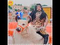 Mahakal Sawan Sawari Ujjain Mahakal Status Sawari Video