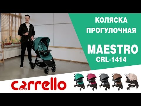 Прогулочная коляска Carrello Maestro CRL-1414/1 Purple Iris Лен + дождевик