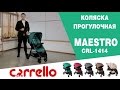 миниатюра 0 Видео о товаре Коляска прогулочная Carrello Maestro CRL-1414, Orient Blue