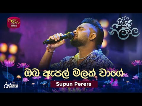 Oba Apple Malak Wage | ඔබ ඇපල් මලක් වාගේ | Supun Perera | Piyum Neela Vila | Roo Tunes