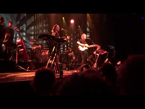 Spinvis - Wespen op de appeltaart live @ Tivoli