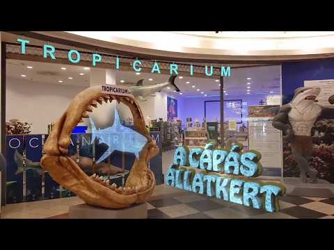 Tropicarium Budapest - Rövid bemutató - Showreel