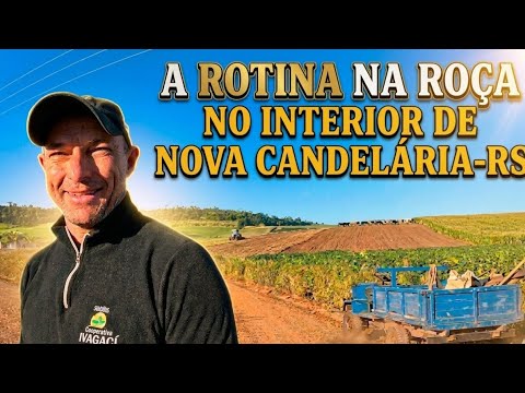 Quanta propriedade bonita, nesse roteiro! Veja isso...